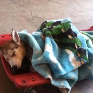 Meet your Posher, Christian